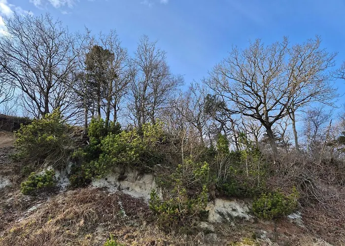 6 Person In Thyholm-by Traum Ferienhaus Thyholm