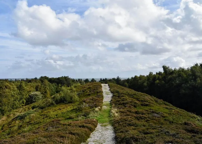 Ferienhaus 6 Person In Thyholm-by Traum Thyholm